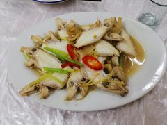 小扒皮鱼-老三鱼仔店