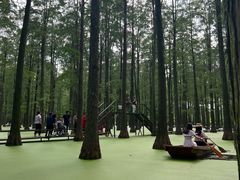 -渌洋湖湿地公园