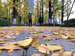 -百林公园-两江幸福广场