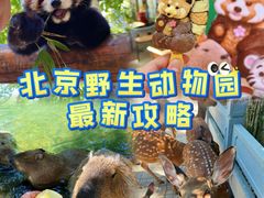 -北京野生动物园