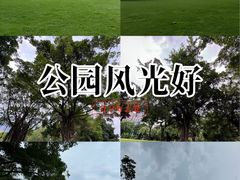 -南宁南湖公园
