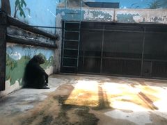 -石家庄市动物园