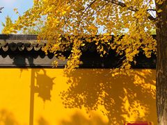 -西园戒幢律寺
