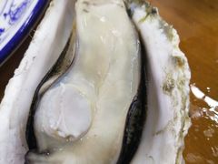 原只蒸生蚝-蚝得喜海鲜(东城店)