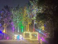 -枫花园汽车电影院(朝阳公园店)