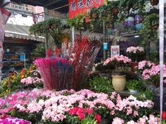 -平吉花卉市场