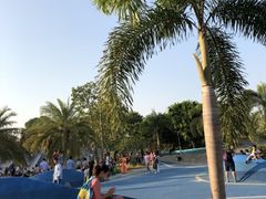 -宝安西湾红树林湿地公园