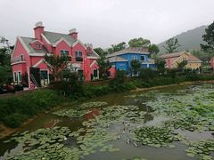 -茅山肴·道家菜·神仙鸡