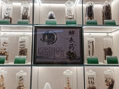 -广东中医药博物馆