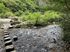 -龙湾潭国家森林公园