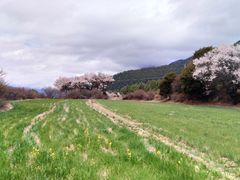 -比日神山
