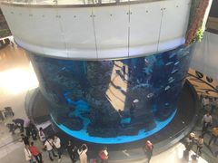 -摩洛哥卡萨布兰卡购物中心