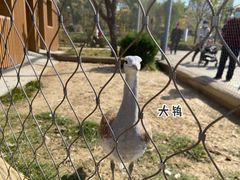 -太原动物园