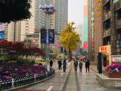 -舌尖上的食缘花园主题餐厅