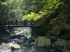 -神农架景区