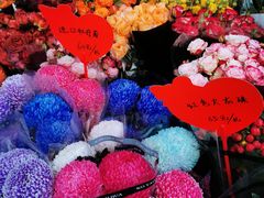 -溪岸路花鸟市场