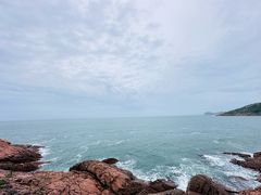 -广东惠东海龟国家级自然保护区