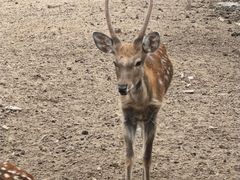 -山西乌金山旅游区