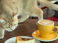 -咖法森林·咖啡  酒吧(天河店)