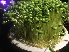 -老表记广西宵夜螺蛳鸭脚煲(西大店)