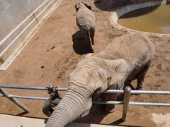 -西霞口神雕山野生动物世界