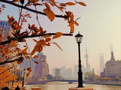 -猪角闽南猪脚饭(上海星荟中心店)