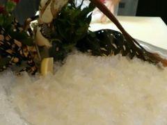 -明珠海港大酒店