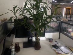 -上海领胜律师团队·法律咨询