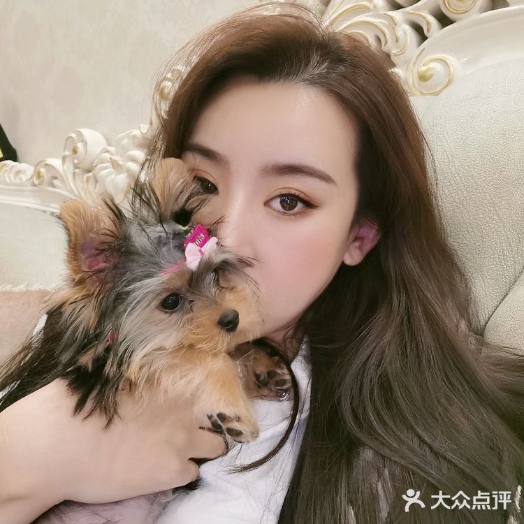 约克夏第一次做美容