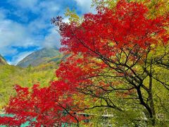 -叠溪松坪沟景区