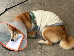 -三目仓咖啡(贤南路店)