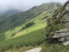 -秦岭风景区