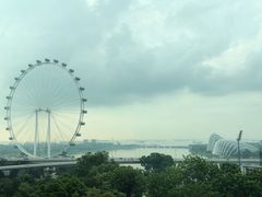 -新加坡文华东方酒店