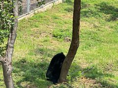 -合肥野生动物园