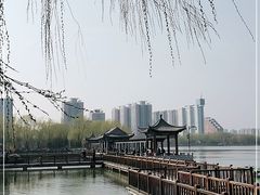 -莲花池公园
