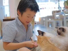 -藏猫猫咖啡主题馆(中央大道店)