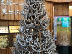 -北京鹿世界主题园