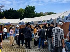 -嘉定紫藤园