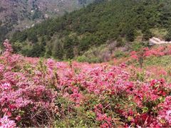 -木兰云雾山