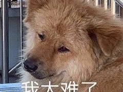 -祁家面馆(大香炉店)