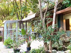 -谷咖啡·鲜花绿植花园餐厅