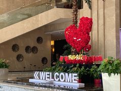 -常州环球恐龙城维景国际大酒店