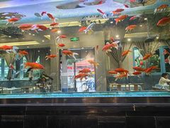 -阳光院坝小龙虾(红牌楼店)