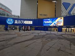 -盒马X会员店(王府井奥莱UP TOWN店)