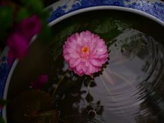 -无锡惠山寺