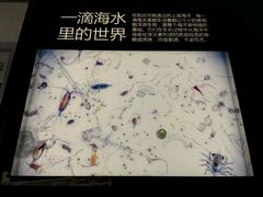 -同济大学四平路校区深海探索馆