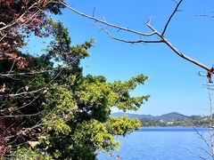 -广州市流溪河国家森林公园