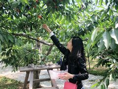 -北海道厅旧本厅舍(旧本庁舎)