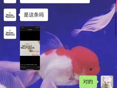 -Vivienne Westwood(上海来福士广场店)