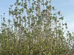 -江南大学(蠡湖校区)